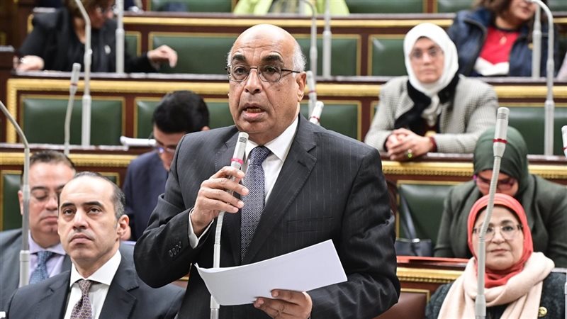 وزير العدل أمام جلسة