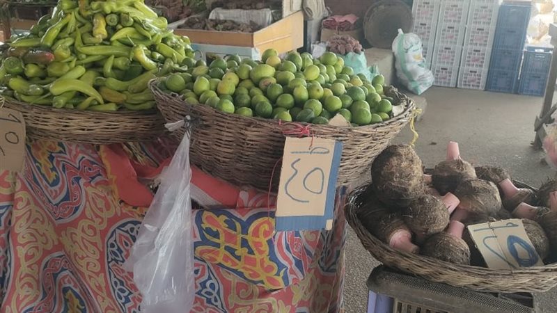  منفذا لبيع الخضراوات
