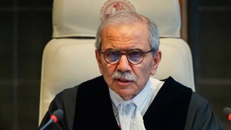 نواف سلام،فيتو