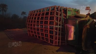  انقلاب سيارة محملة بإسطوانات بوتاجاز في بني سويف