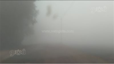 شلل مروري في الغربية بسبب الشبورة المائية الكثيفة