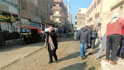 حملة مكبرة على الإعلانات العشوائية في قنا