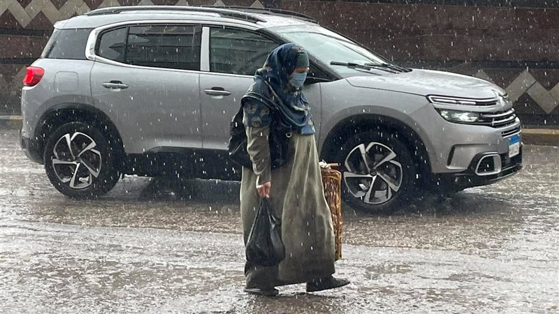 حالة الطقس غدا، فيتو