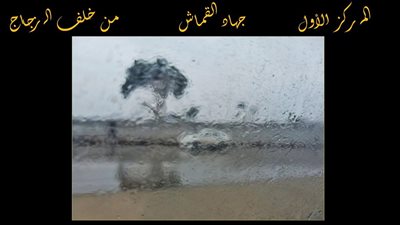 فيتو في المركز الأول، أسماء الفائزين بمسابقة ساقية الصاوي الدورة 22 (صور)