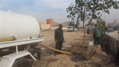 البدء في تشجير الطريق الدائري بنطاق المريوطية واللبيني وعمرو بن العاص