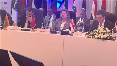 وزير الثقافة: التحول الرقمي للمحتوى الثقافي العربي رهان المستقبل