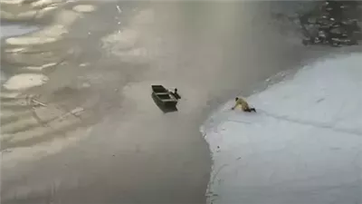 إنقاذ رجل وكلبه بعد سقوطهما ببحيرة متجمدة في بوسطن