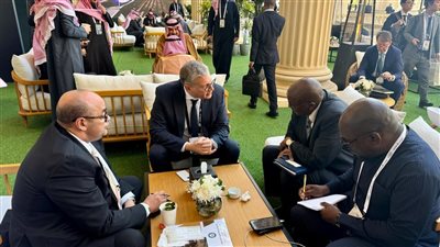 بدوى يبحث مع نائب وزير المعادن التنزانى تعزيز التعاون المشترك 