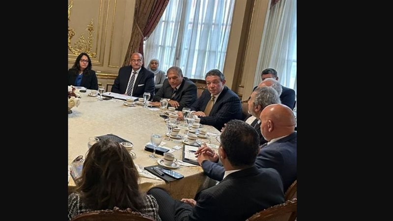 اجتماعات المشاورات