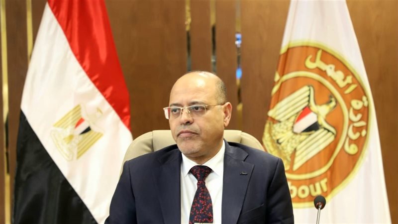 محمد جبران وزير العمل،فيتو