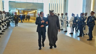 السيسي وبن زايد يشددان على ضرورة إدخال المساعدات الإنسانية دون عراقيل لأهالي غزة