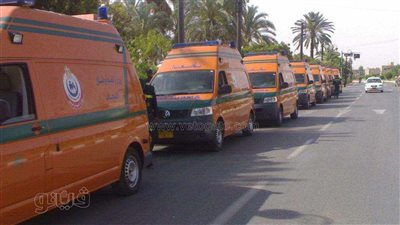 إصابة نائب رئيس مجلس الدولة وزوجته وأولاده في انقلاب سيارة ملاكي بالمنيا