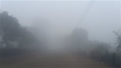تصل لحد الضباب وتسبب انخفاض الرؤية، تحذير من الشبورة غدا الجمعة وحتى الأحد المقبل