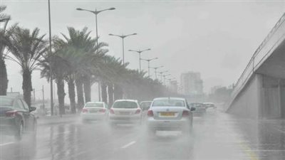 تحذير أمني عاجل لقائدي السيارات بعد حجب الشبورة المائية للطرق السريعة