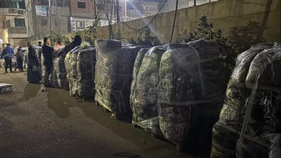 حتى الأطفال شاركوا بمصروفهم، قرية بالدقهلية تجهز 8 شاحنات 