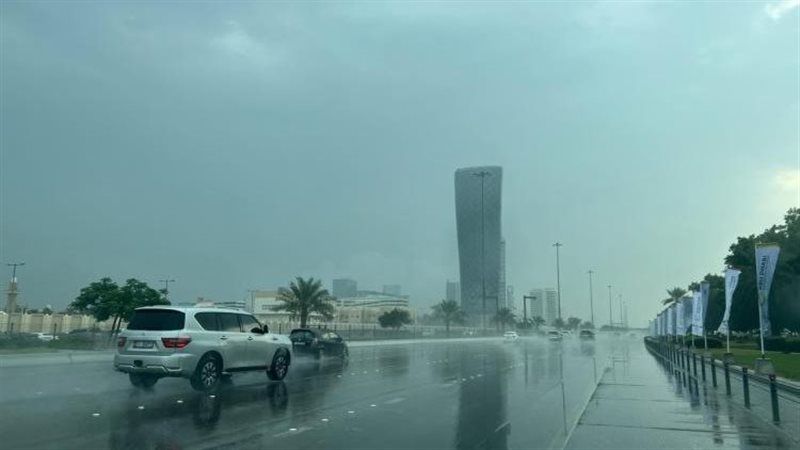 شبورة مائية، فيتو