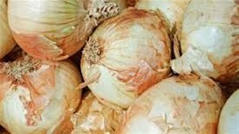 تفسير حلم البصل في