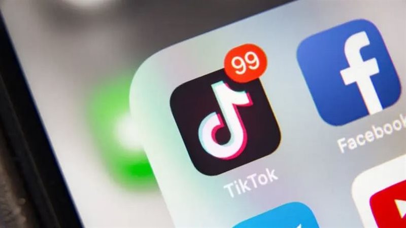 تيك توك، فيتو