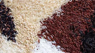 كم سجل سعر الأرز بالأسواق اليوم الإثنين ؟