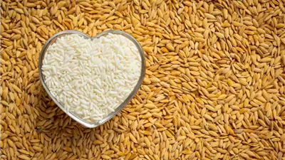 كم يبلغ سعر الأرز في السوق اليوم السبت؟ 