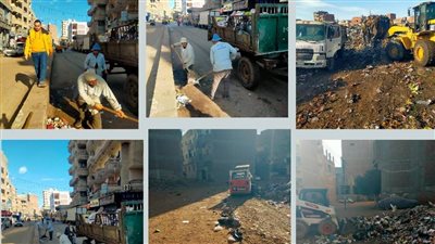 حملات نظافة ورفع تراكمات قمامة بـ3 مراكز في الشرقية 