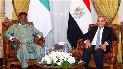 انعقاد الجولة الثالثة للمشاورات السياسية بين مصر ونيجيريا على المستوى الوزاري (صور)