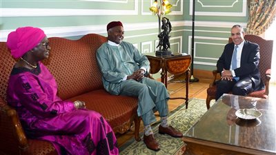  تفاصيل لقاء وزراء خارجية مصر والسنغال ونيجيريا