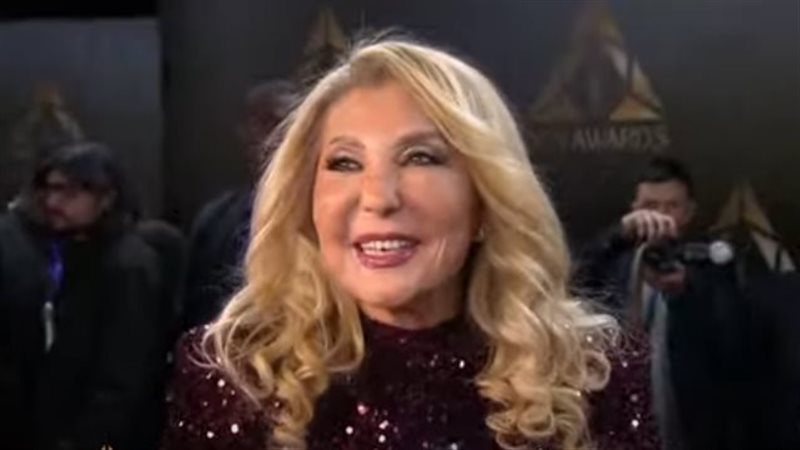 الفنانة نادية الجندي،