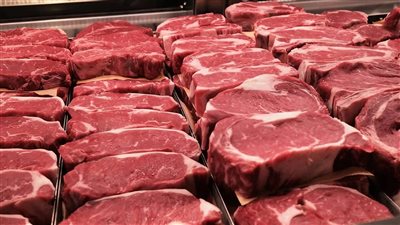  انخفاض الكندوز، أسعار اللحوم اليوم في الأسواق
