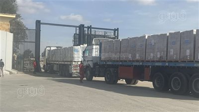 لحظة عبور شاحنات المواد الإغاثية إلى غزة من معبر رفح (فيديو وصور)