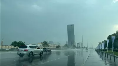 حالة الطقس ودرجات الحرارة المتوقعة اليوم السبت 25 - 01 -2025