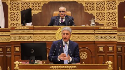 وزير الآثار أمام الشيوخ: تفعيل الرقابة الصارمة ينهي أزمة سوء معاملة السائحين  