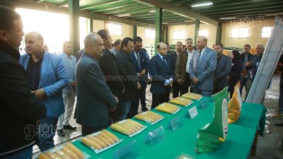 محافظ كفرالشيخ يتفقد مركز إعداد التقاوي بالبحوث الزراعية
