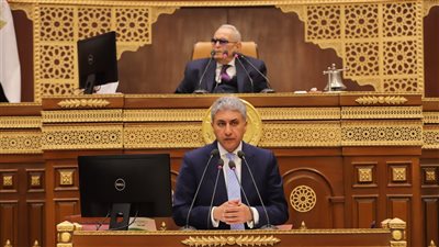  وزير الآثار يكشف أمام الشيوخ مستجدات قانون السياحة