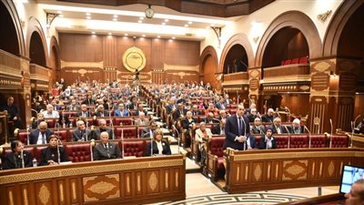 نائب بالشيوخ يستعرض طلب مناقشة بشأن التحول إلى السيارات الكهربائية