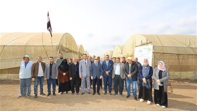 محافظ كفرالشيخ يتفقد البرنامج الوطني لإنتاج تقاوي الخضر بالبحوث الزراعية 