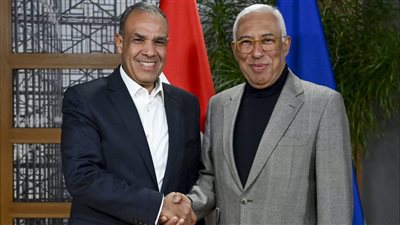 وزير الخارجية يؤكد أهمية التزام أطراف اتفاق وقف إطلاق النار في غزة