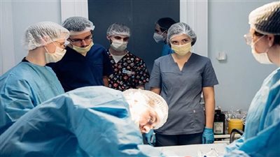 علماء روس ينجحون بعملية زرع حالب معدل وراثيا في خنزير