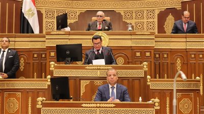 مطالب أمام الشيوخ بخطة متكاملة للنهوض بقطاع الطيران