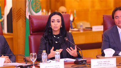 وزيرة التضامن: 35 مليار جنيه منح دولية للجمعيات الأهلية