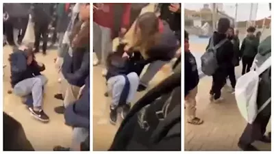 أستاذ طب نفسي يكشف أسباب خناقة مدرسة التجمع