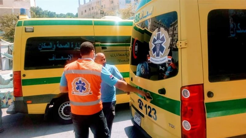 إصابة ربة منزل إثر