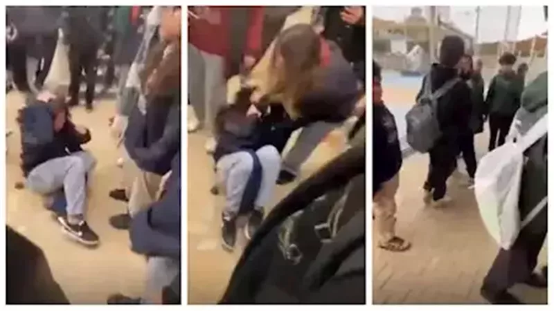 خناقة مدرسة التجمع: