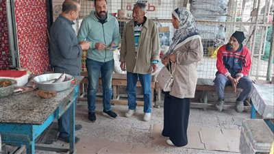 حملات مكبرة للتفتيش على تطبيق الاشتراطات البيئية بالإسماعيلية (صور) 