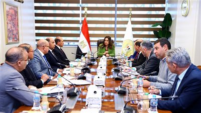 وزيرة التنمية المحلية تتابع الموقف التنفيذي لعدد من المشروعات الجارية بالمحافظات مع المركزي للتعمير