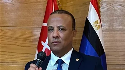 نائب رئيس الحزب العربي الناصري: تنظيم دخول الوفود للحدود قرار سيادي لحماية الأمن القومي