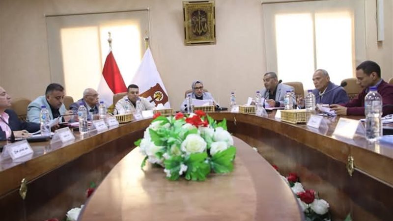 نائب محافظ الوادي