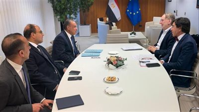 وزير الخارجية يؤكد أهمية دعم الجانب الأوروبي لتمكين مصر من مواجهة التحديات 