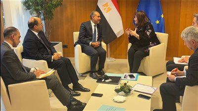 وزير الخارجية: ملف الهجرة تحدٍ مشترك لـ مصر والاتحاد الأوروبي
