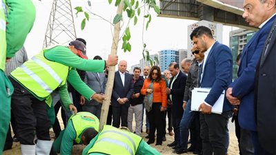وزيرة التنمية المحلية ومحافظ القاهرة يتفقدان تنفيذ مشروع تشجير الطريق الدائري 
